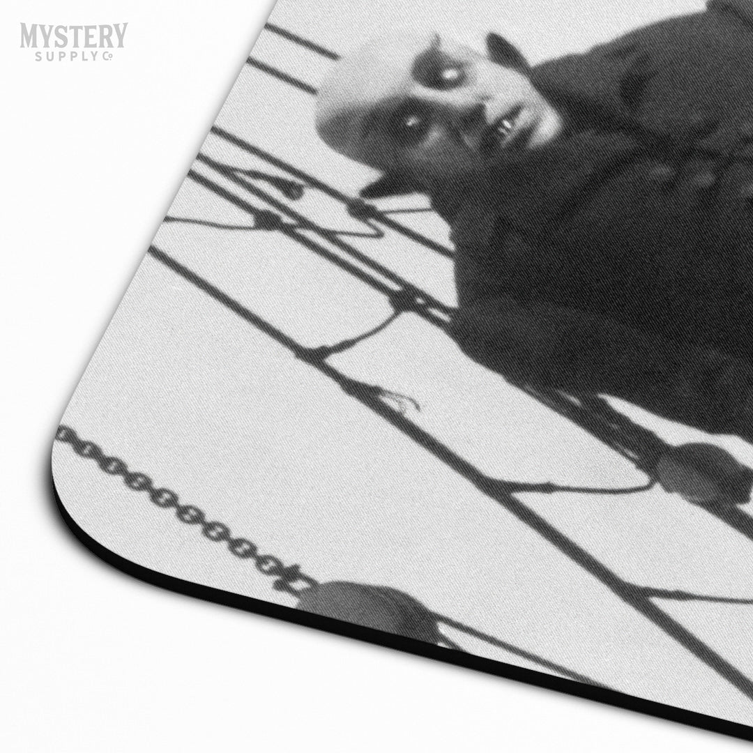 Nosferatu 1922 vintage horror monster vampire movie Dracula Count Orlok photo mousepad office decor desk accessories from Mystery Supply Co. @mysterysupplyco