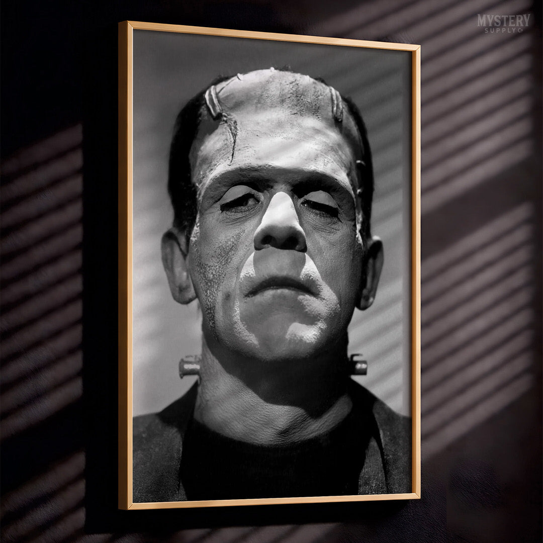 Frankenstein 1931 Classic Vintage Horror Movie Monster Photo