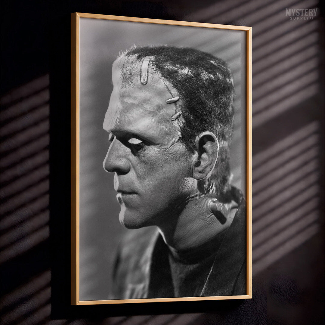 Frankenstein 1935 Horror Movie Monster Profile Photo