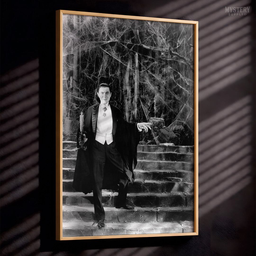 Dracula 1930s Bela Lugosi Vampire On Castle Steps Photo