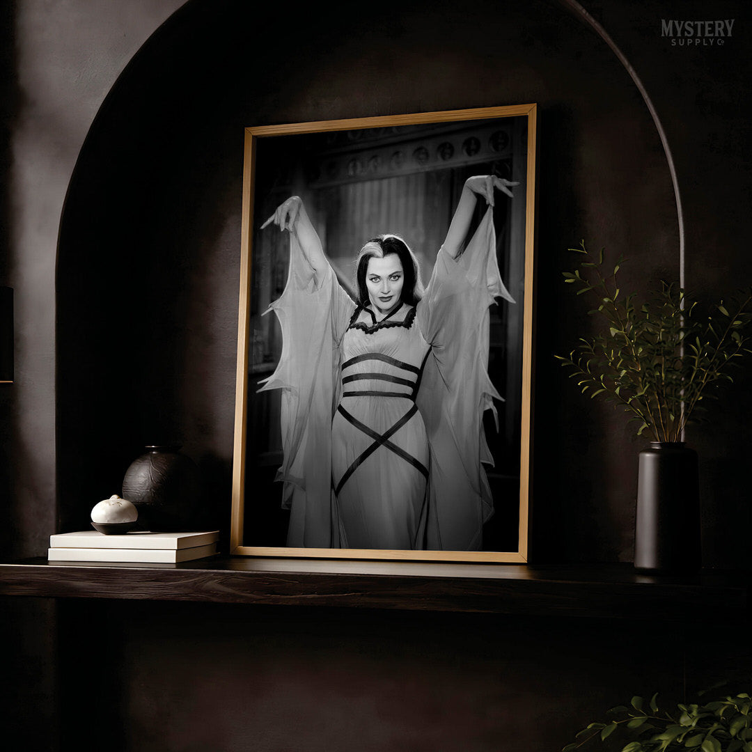 Lily Munster 1960s Vintage Bat Dress Photo Print