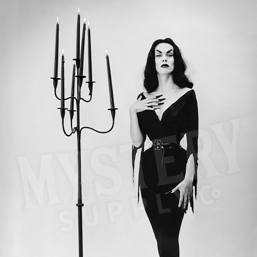 Vampira Vintage Maila Nurmi Vampire Horror Scream Queen Beauty Black and White Photo reproduction from Mystery Supply Co. @mysterysupplyco