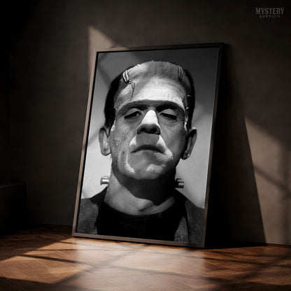 Frankenstein 1931 Classic Vintage Horror Movie Monster Photo