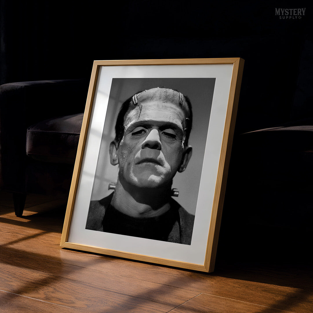 Frankenstein 1931 Classic Vintage Horror Movie Monster Photo