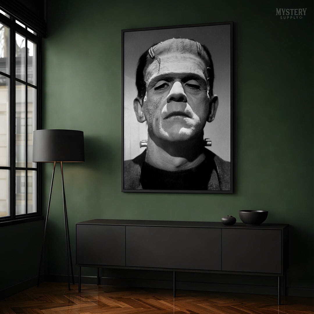 Frankenstein 1931 Classic Vintage Horror Movie Monster Photo