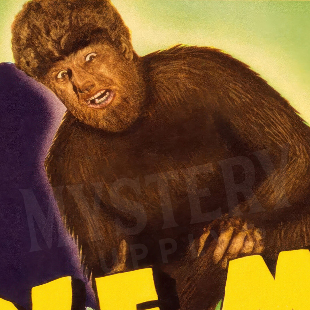 The Wolf Man 1941 vintage Lon Chaney Jr. horror monster werewolf movie poster reproduction from Mystery Supply Co. @mysterysupplyco