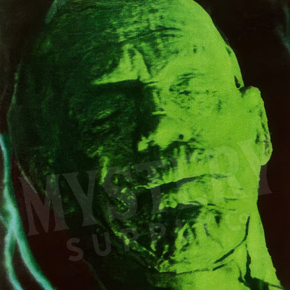 The Mummy vintage Boris Karloff horror monster movie poster reproduction from Mystery Supply Co. @mysterysupplyco