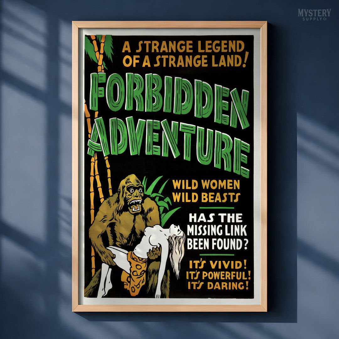 Forbidden Adventure 1937 Vintage Exploitation Movie Poster