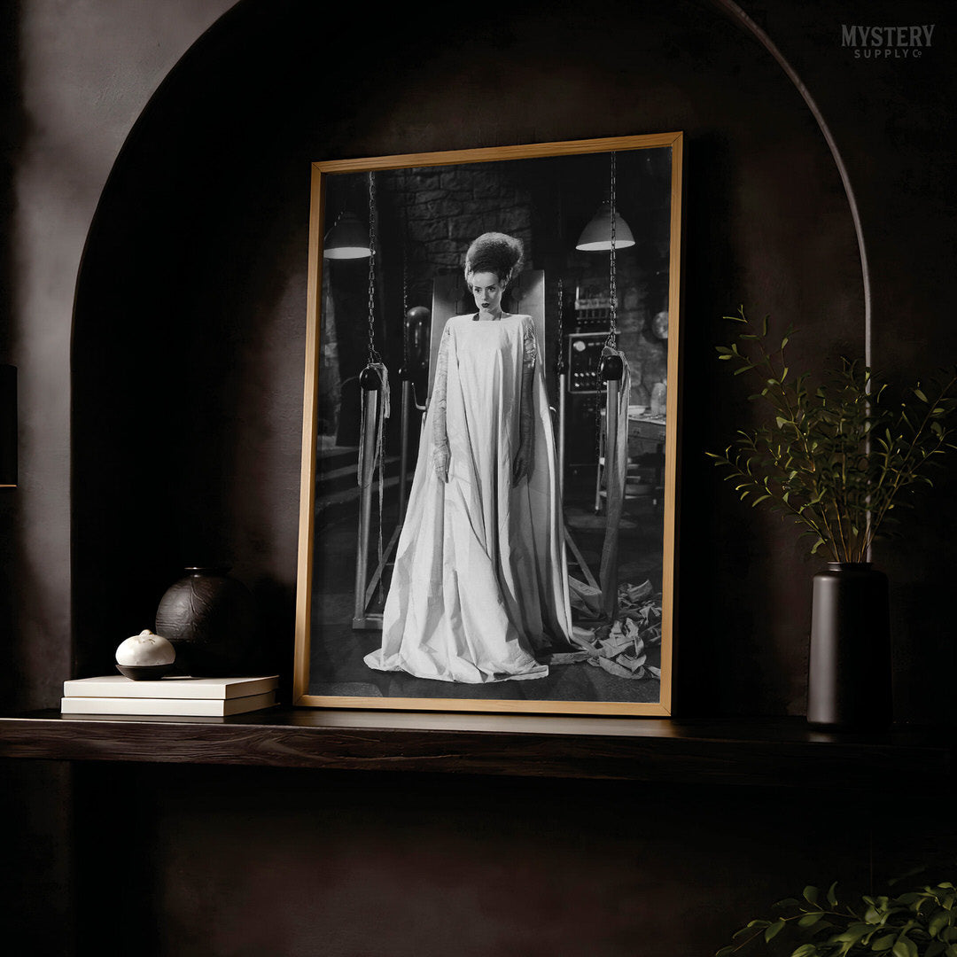 Bride of Frankenstein 1935 Vintage Horror Laboratory Photo