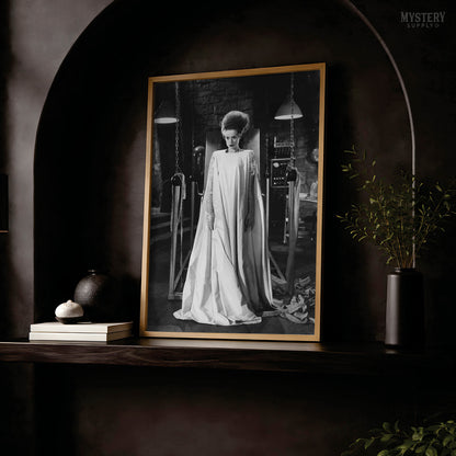 Bride of Frankenstein 1935 Vintage Horror Laboratory Photo