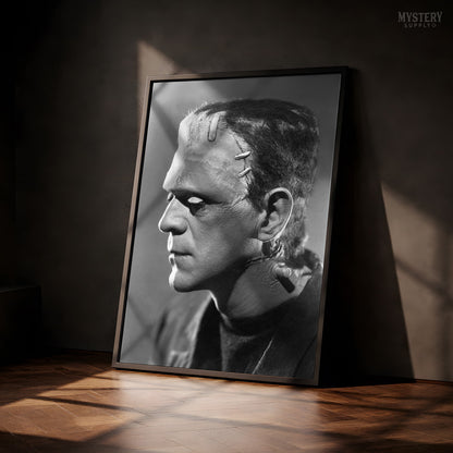 Frankenstein 1935 Horror Movie Monster Profile Photo