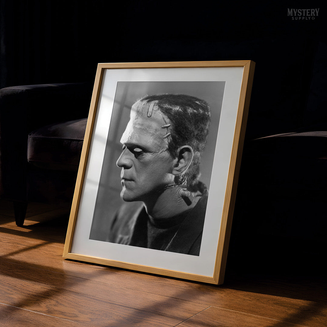 Frankenstein 1935 Horror Movie Monster Profile Photo