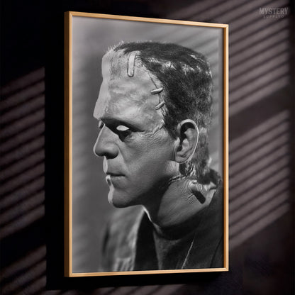 Frankenstein 1935 Horror Movie Monster Profile Photo