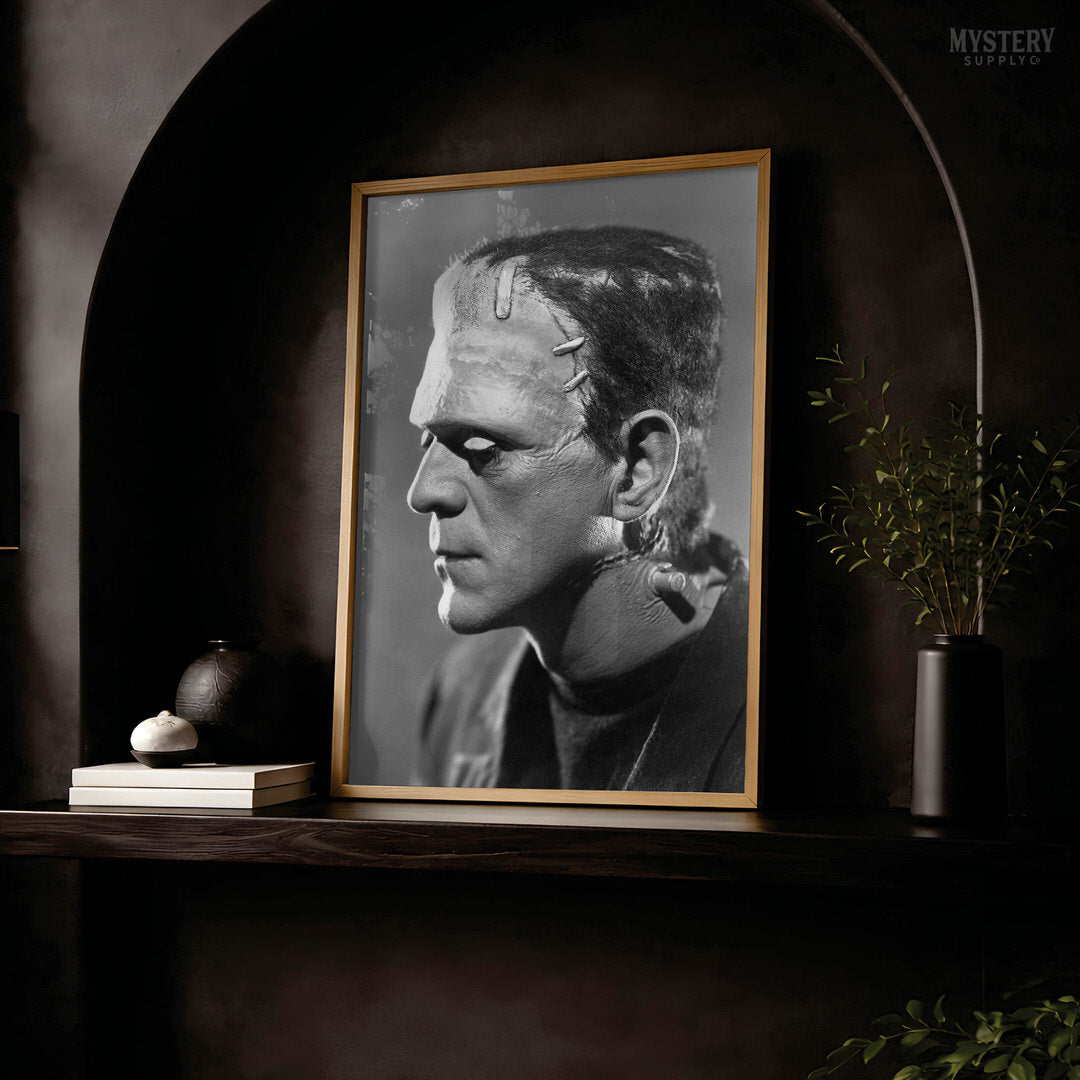 Frankenstein 1935 Horror Movie Monster Profile Photo