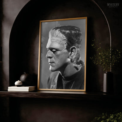 Frankenstein 1935 Horror Movie Monster Profile Photo