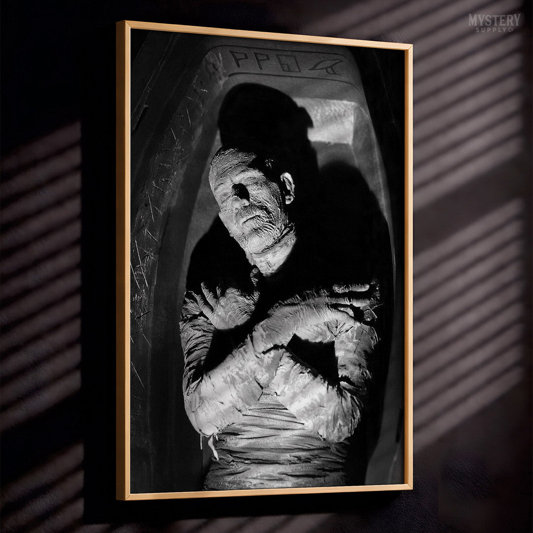 The Mummy 1932 Horror Movie Boris Karloff Coffin Monster Photo