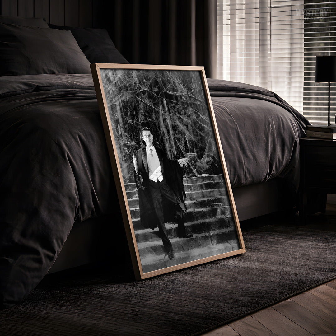 Dracula 1930s Bela Lugosi Vampire On Castle Steps Photo