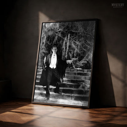 Dracula 1930s Bela Lugosi Vampire On Castle Steps Photo