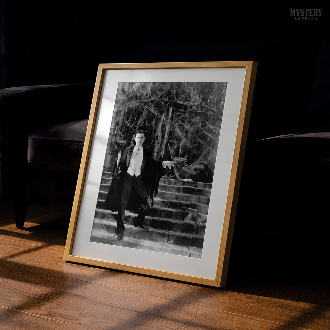 Dracula 1930s Bela Lugosi Vampire On Castle Steps Photo