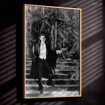 Dracula 1930s Bela Lugosi Vampire On Castle Steps Photo