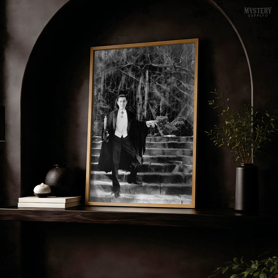 Dracula 1930s Bela Lugosi Vampire On Castle Steps Photo