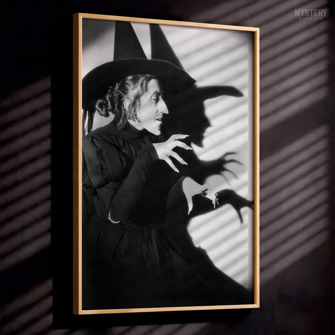 Wicked Witch of the West 1930s Profile Shadow Movie Photo