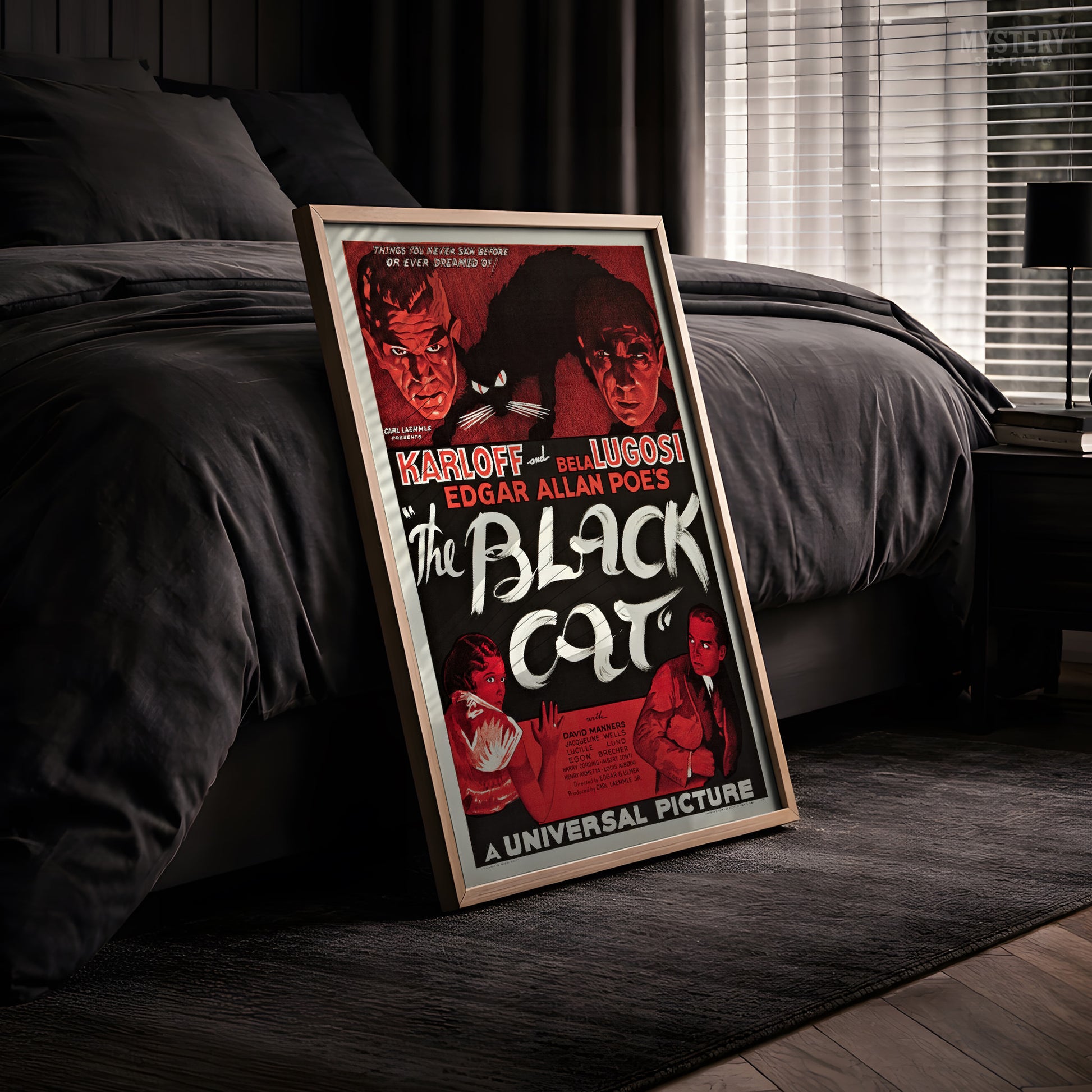 Vintage movie poster for 'The Black Cat' with classic horror imagery. From Mystery Supply Co.