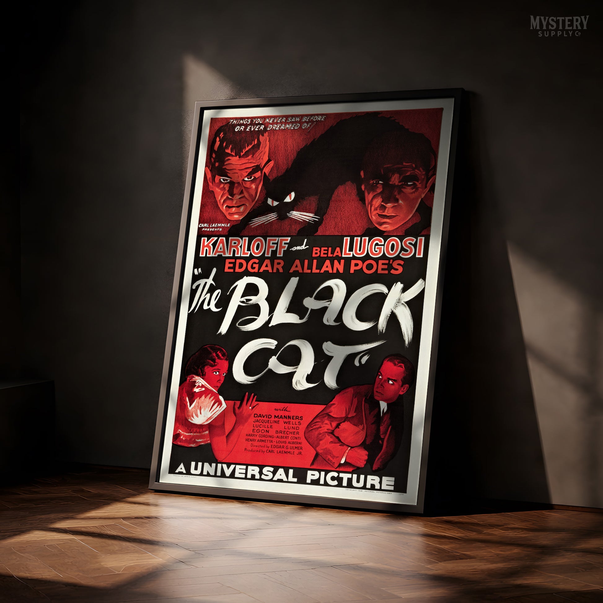 Vintage movie poster for 'The Black Cat' with classic horror imagery. From Mystery Supply Co.