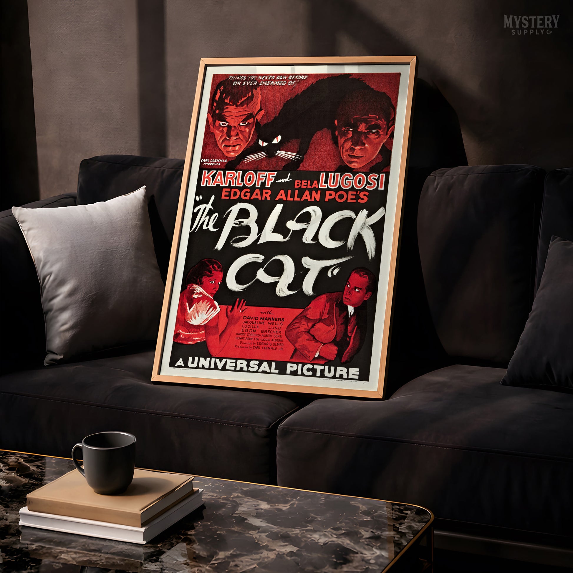 Vintage movie poster for 'The Black Cat' with classic horror imagery. From Mystery Supply Co.