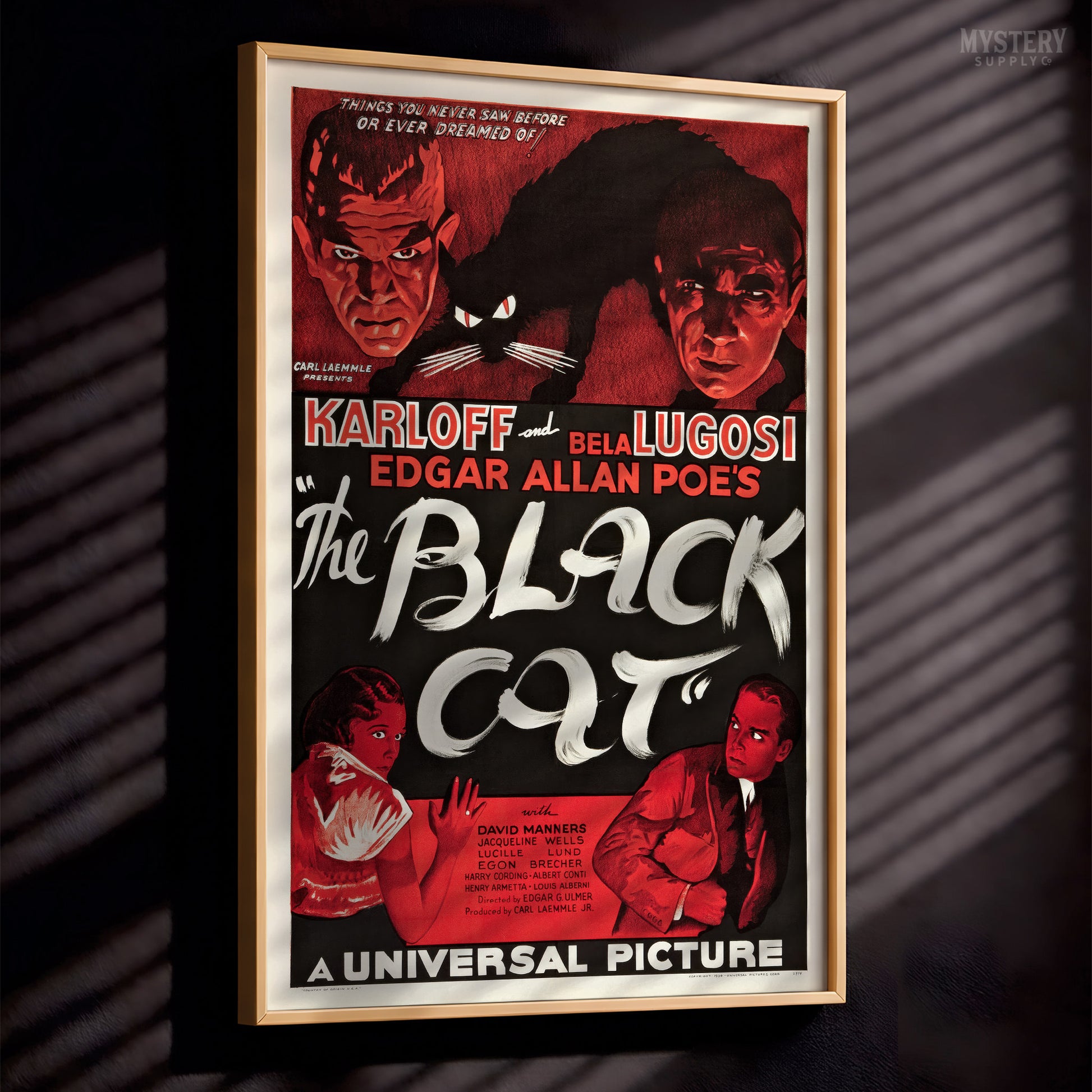 Vintage movie poster for 'The Black Cat' with classic horror imagery. From Mystery Supply Co.