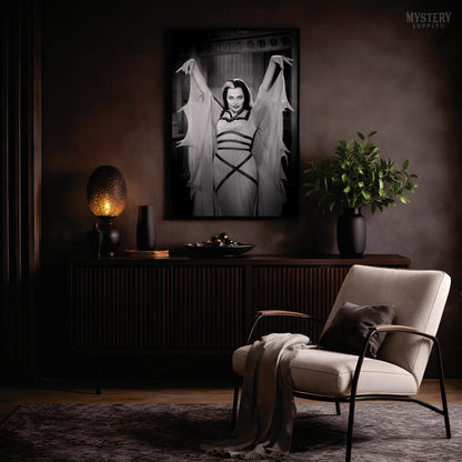 Lily Munster 1960s Vintage Bat Dress Photo Print