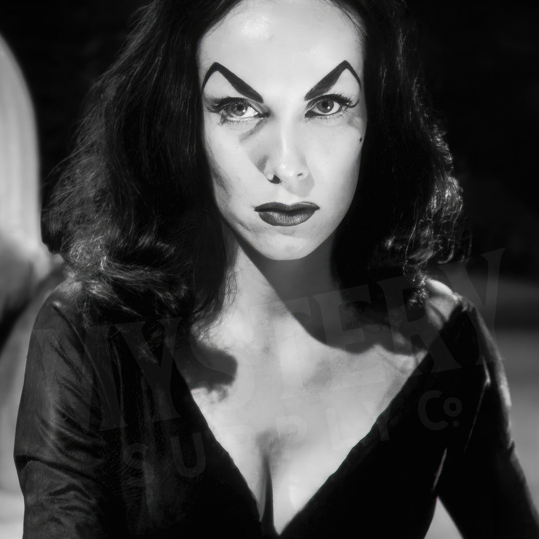 Vampira Coffin Photo Poster