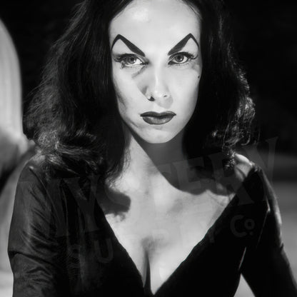 Vampira Coffin Photo Poster