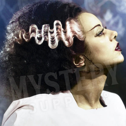 Bride of Frankenstein 1935 Vintage Horror Movie Monster Colorized Elsa Lanchester Profile Photo reproduction from Mystery Supply Co. @mysterysupplyco