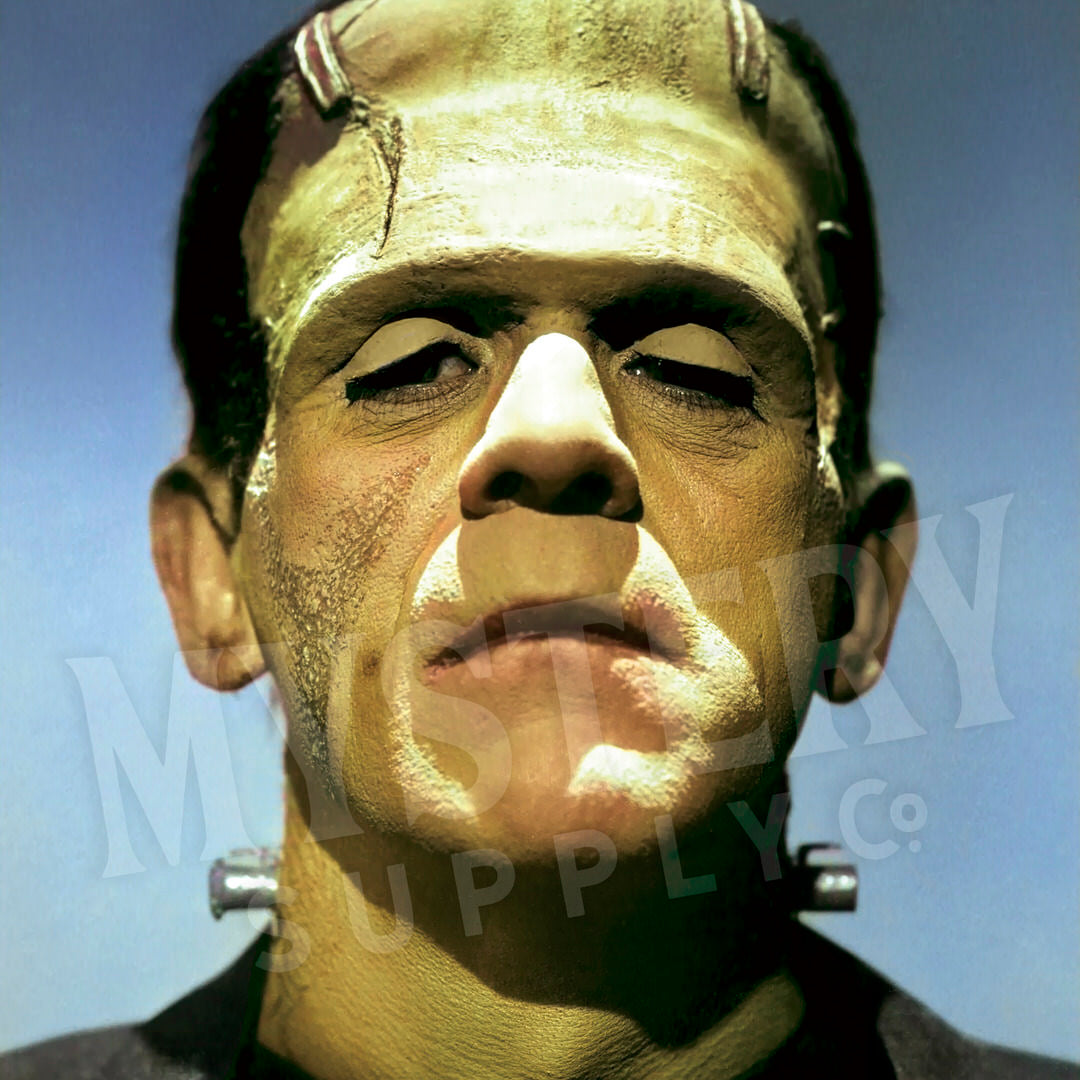 Frankenstein 1931 Vintage Horror Movie Monster Color Photo reproduction from Mystery Supply Co. @mysterysupplyco