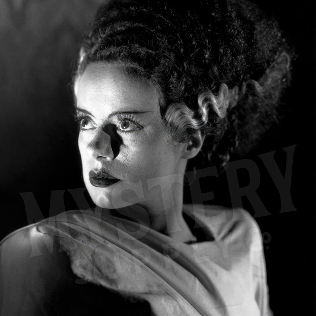 Bride of Frankenstein 1935 Vintage Horror Movie Monster Black and White Dramatic Photo reproduction from Mystery Supply Co. @mysterysupplyco