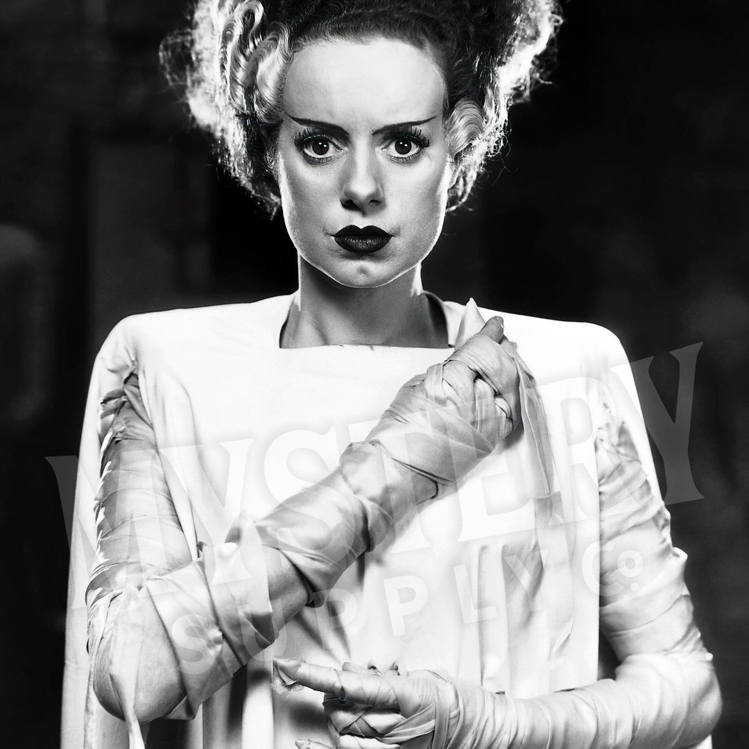 Bride of Frankenstein 1935 Vintage Horror Monster Portrait Photo – Mystery Supply Co