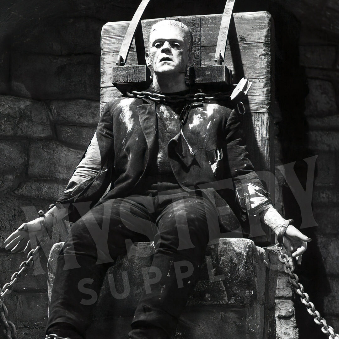 Frankenstein 1935 Vintage Horror Movie Monster Shackled and Bound in Chains Black and White Photo reproduction from Mystery Supply Co. @mysterysupplyco