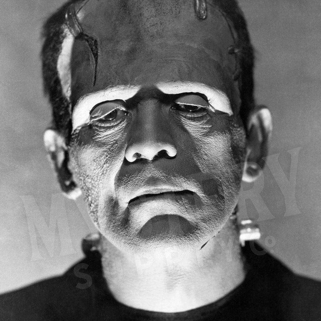 Frankenstein 1930s Vintage Horror Movie Monster Portrait Black and White Photo reproduction from Mystery Supply Co. @mysterysupplyco