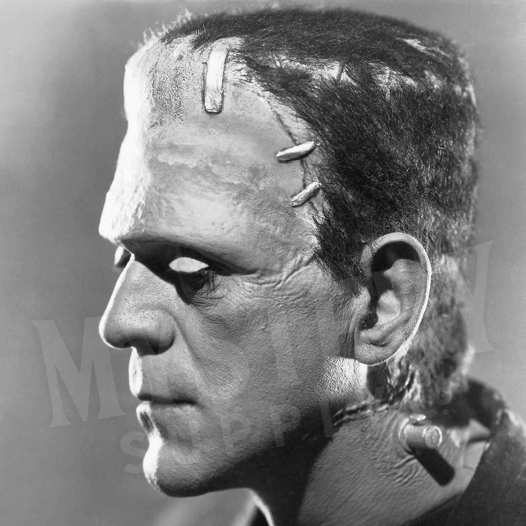 Frankenstein 1935 Vintage Horror Movie Monster Boris Karloff Side Portrait Photo reproduction from Mystery Supply Co. @mysterysupplyco