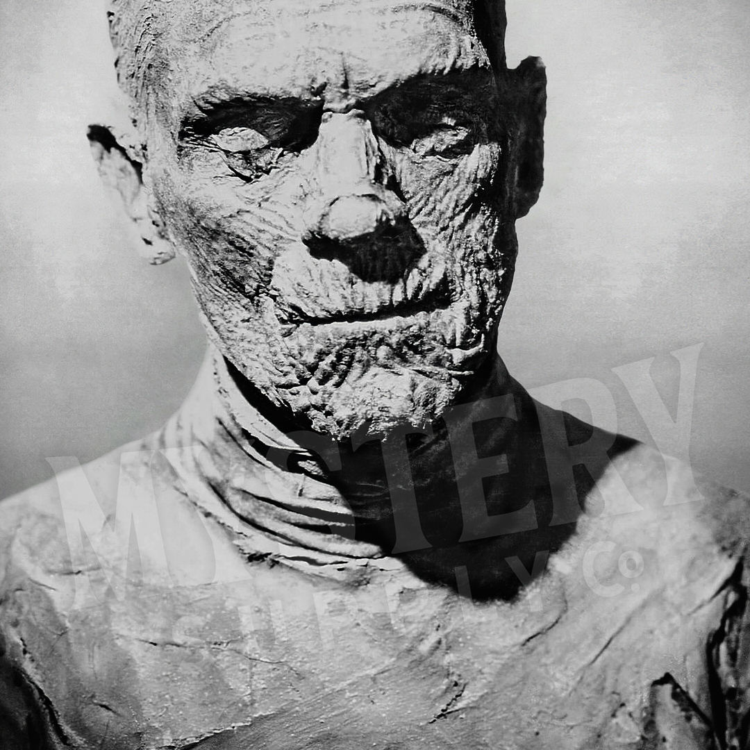 The Mummy 1932 Vintage Horror Movie Monster Boris Karloff Black and White Photo reproduction from Mystery Supply Co. @mysterysupplyco