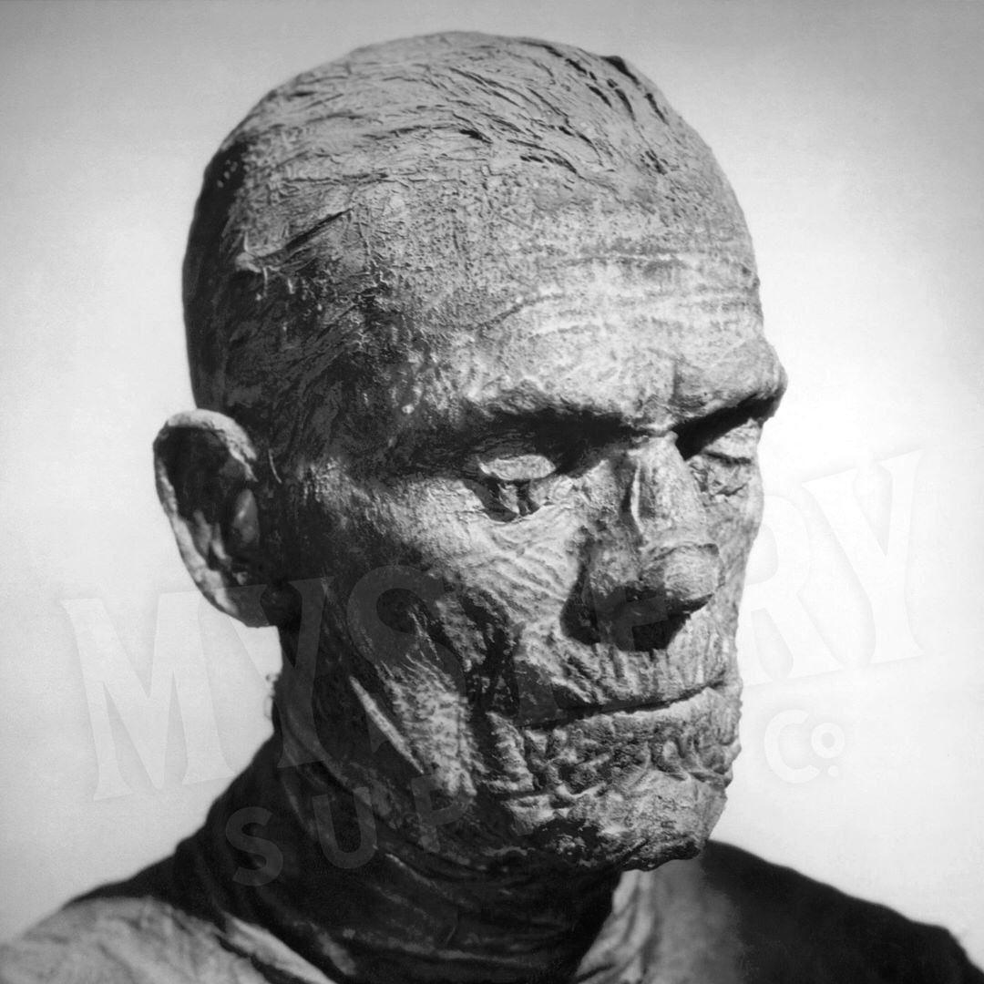 The Mummy 1932 Vintage Horror Movie Monster Boris Karloff Black and White Profile Photo reproduction from Mystery Supply Co. @mysterysupplyco