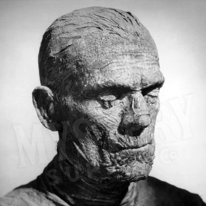 The Mummy 1932 Vintage Horror Movie Monster Boris Karloff Black and White Profile Photo reproduction from Mystery Supply Co. @mysterysupplyco