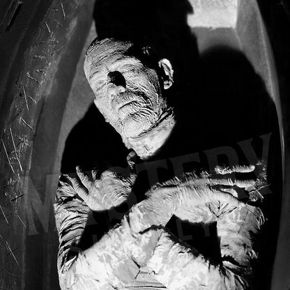 The Mummy 1932 Vintage Horror Movie Monster Boris Karloff Coffin Black and White Photo reproduction from Mystery Supply Co. @mysterysupplyco