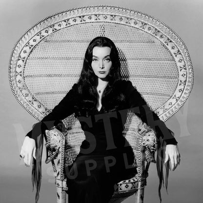 Morticia Addams Carolyn Jones 1960s Vintage Addams Family Witch Horror Monster Beauty Black and White Photo reproduction from Mystery Supply Co. @mysterysupplyco