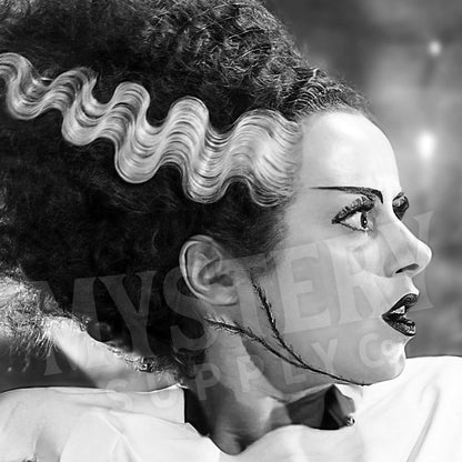 Bride of Frankenstein 1935 Vintage Horror Movie Monster Couple Black and White Photo reproduction from Mystery Supply Co. @mysterysupplyco