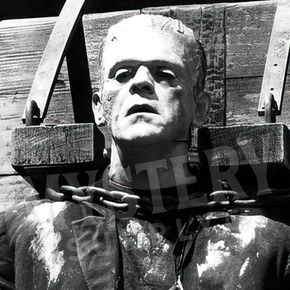 Frankenstein 1935 Vintage Horror Movie Monster Shackled and Bound in Chains Black and White Photo reproduction from Mystery Supply Co. @mysterysupplyco