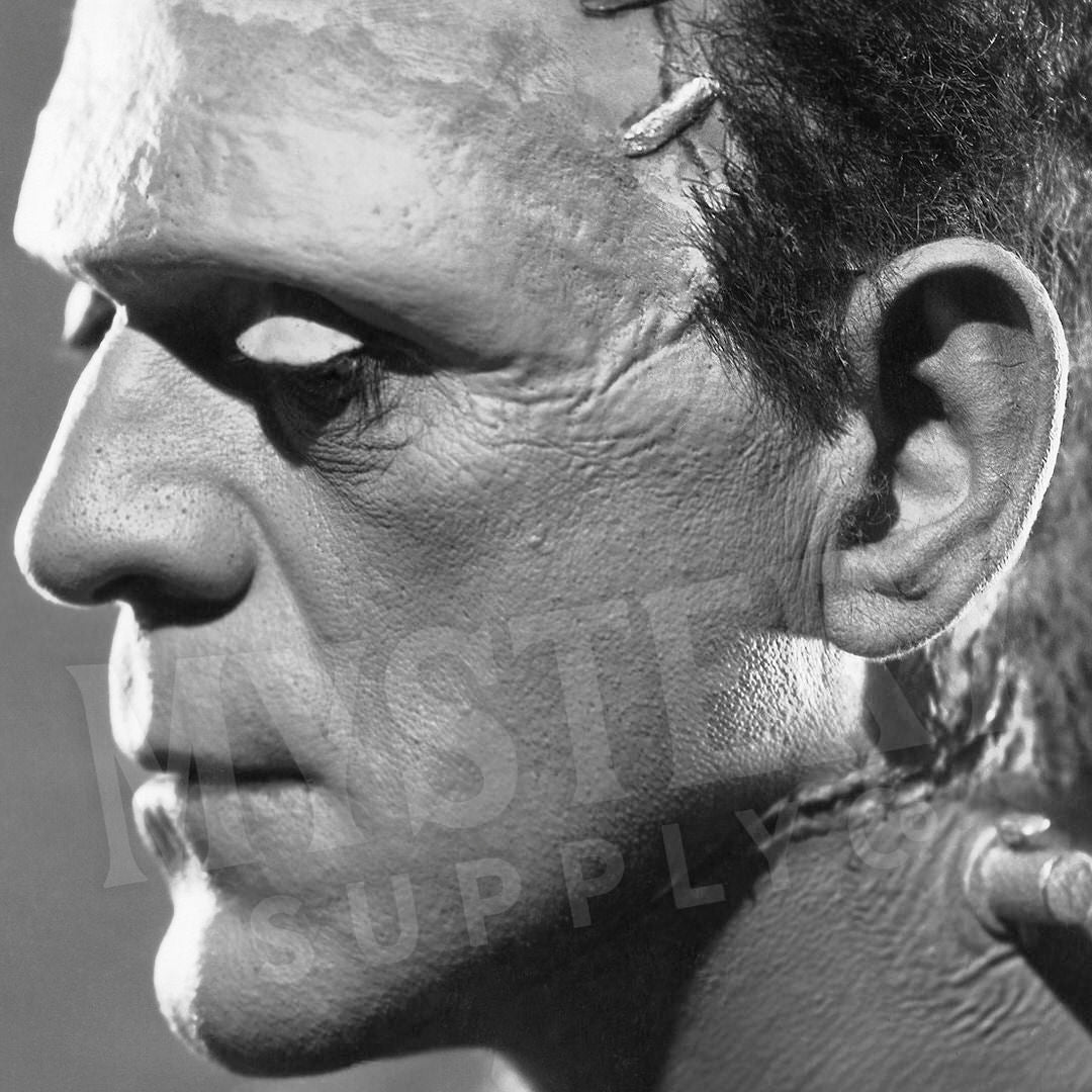 Frankenstein 1935 Vintage Horror Movie Monster Boris Karloff Side Portrait Photo reproduction from Mystery Supply Co. @mysterysupplyco