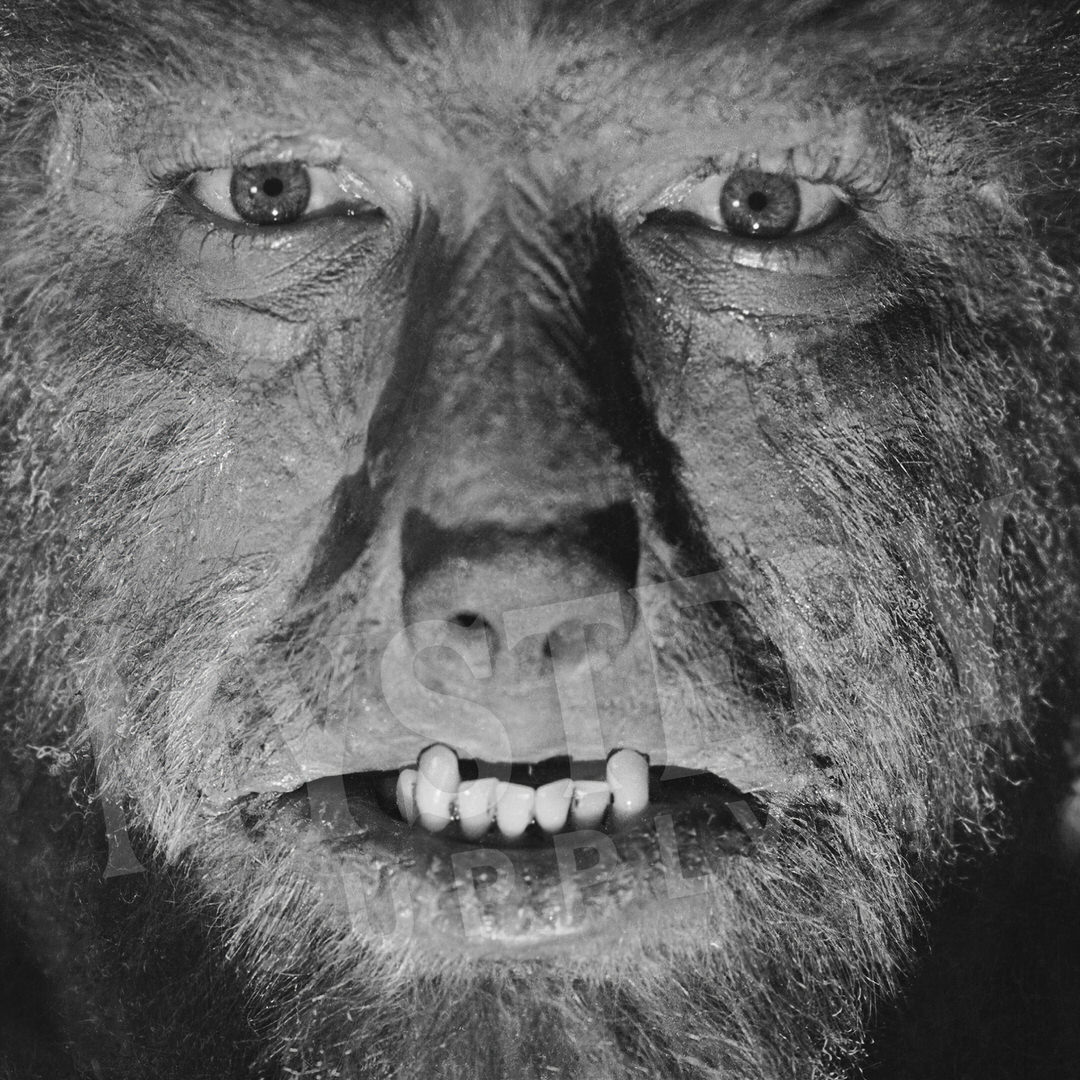 The Wolf Man 1941 Vintage Horror Movie Monster Lon Chaney Jr. Werewolf fangs and claws Black and White photo reproduction from Mystery Supply Co. @mysterysupplyco