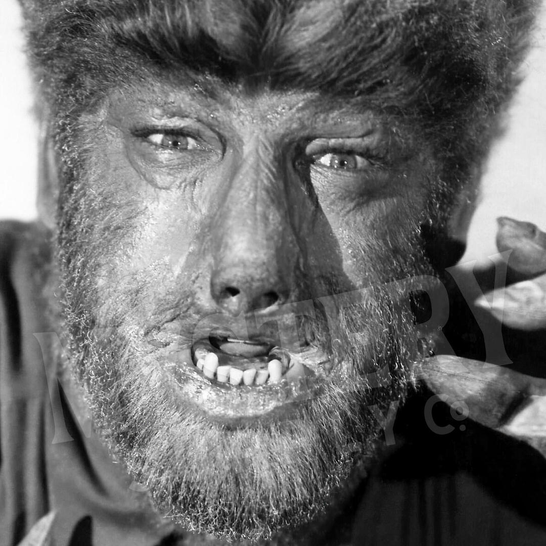 The Wolf Man 1941 Lon Chaney Jr. Werewolf Claws Photo – Mystery Supply Co.